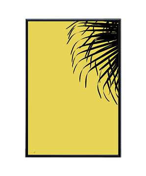 PALM IN SUN _P